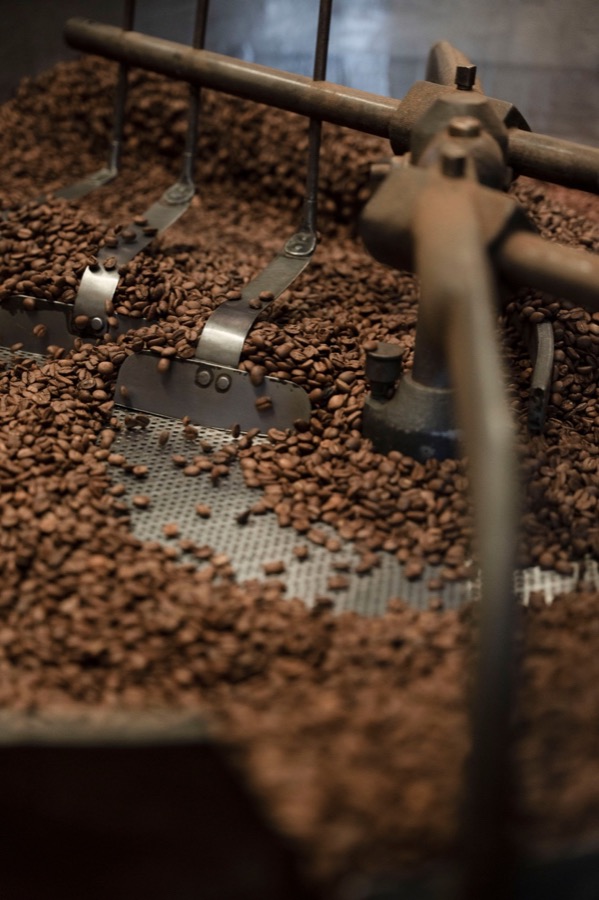 Coffee beans cooling after roasting